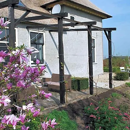 Snellenstein