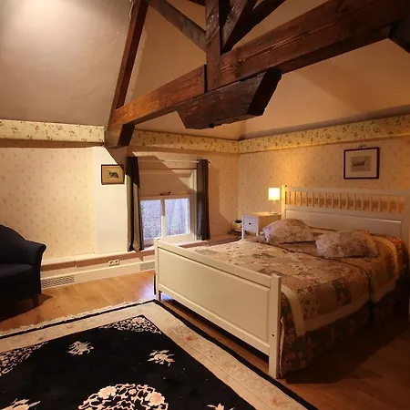 Snellenstein Neerijnen